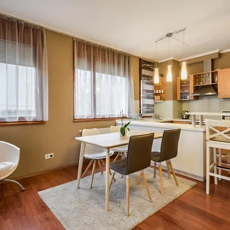 Downtown Karpat 9 Apartment