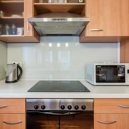 Downtown Karpat 9 Apartment