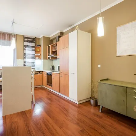 Apartment Downtown Karpat 9 *