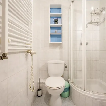 Downtown Karpat 9 Apartment