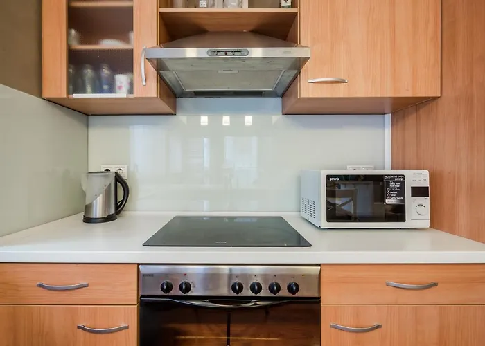 Downtown Karpat 9 아파트