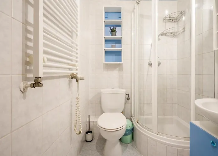 Downtown Karpat 9 아파트